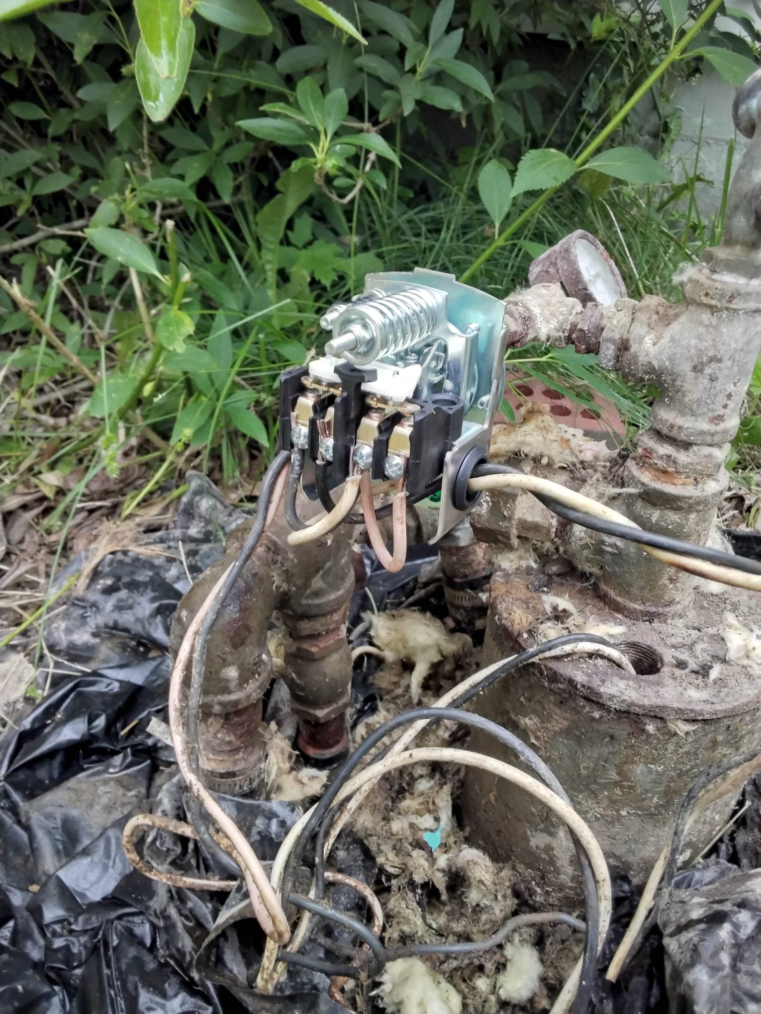Keeping Your Well in Peak Condition: A Tazewell Homeowner’s Journey