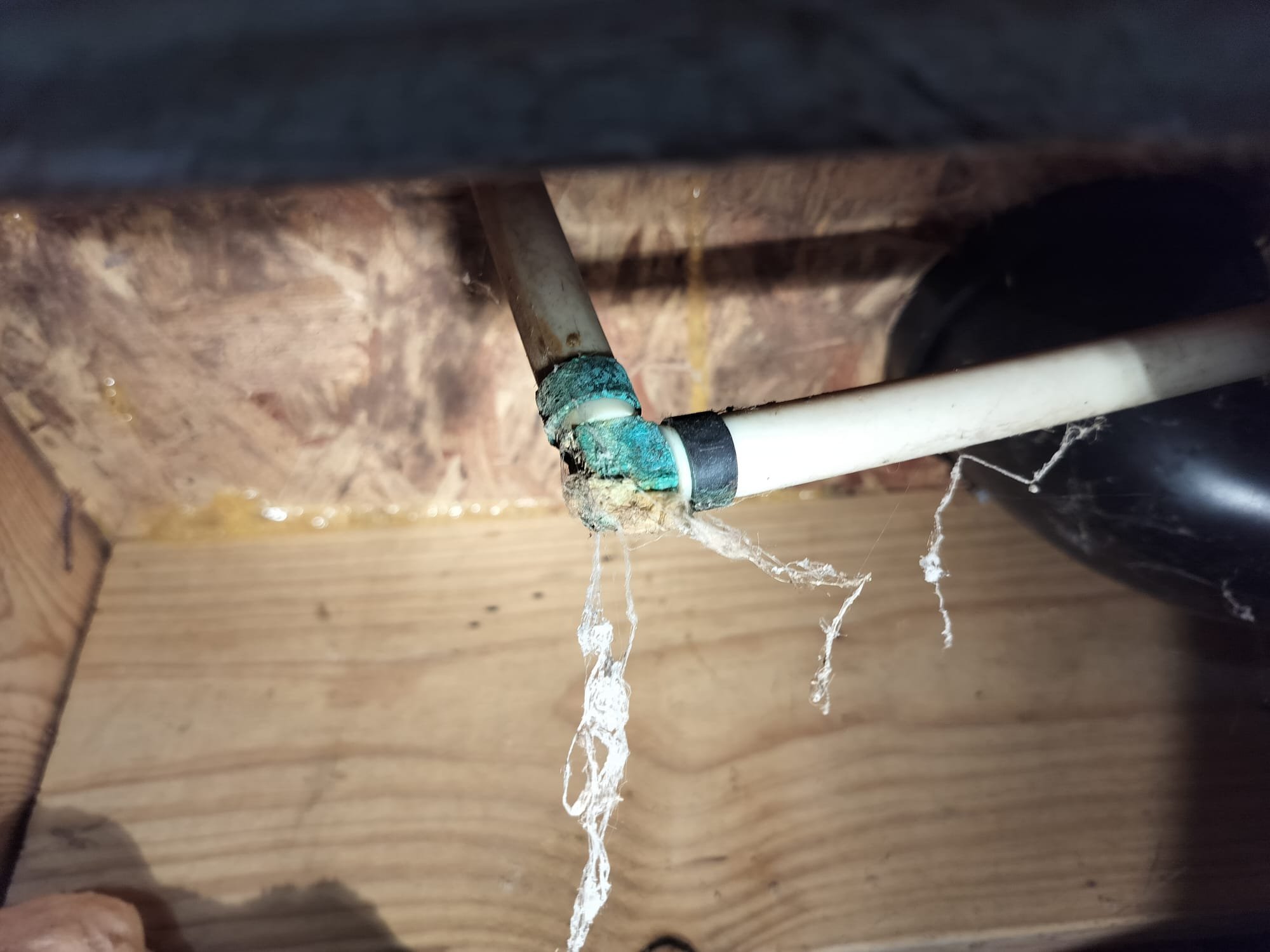 Solving a Sneaky Leak: How a HEP Technician Restored Safe Plumbing in Madisonville