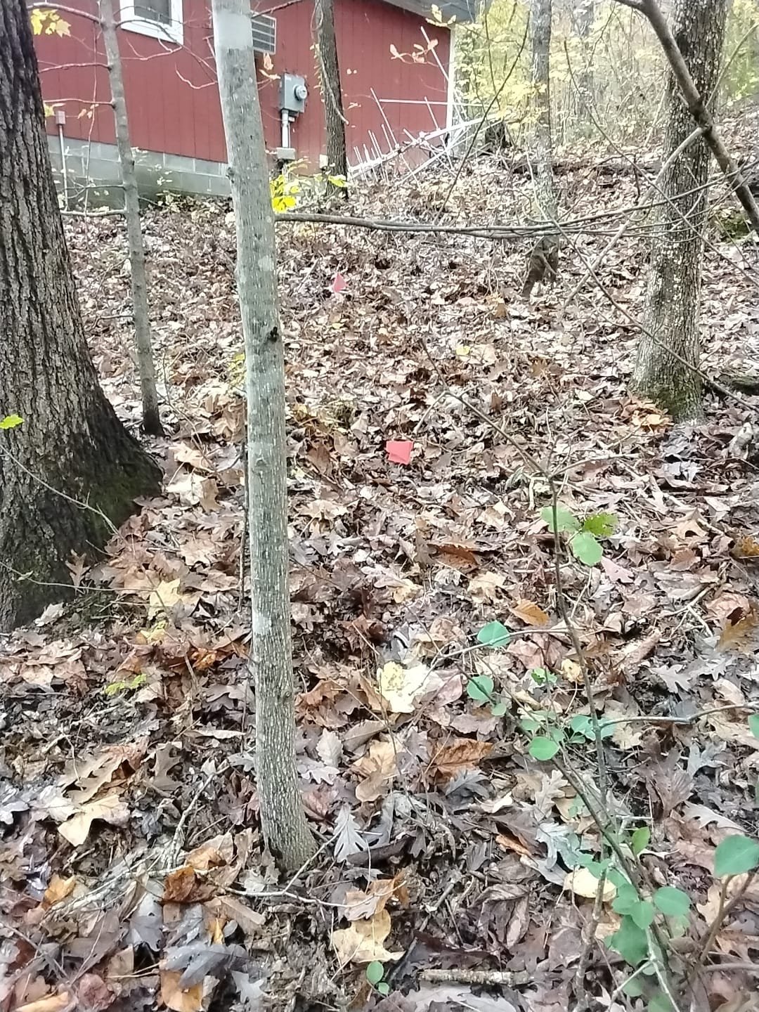 Utility Markers Before Work