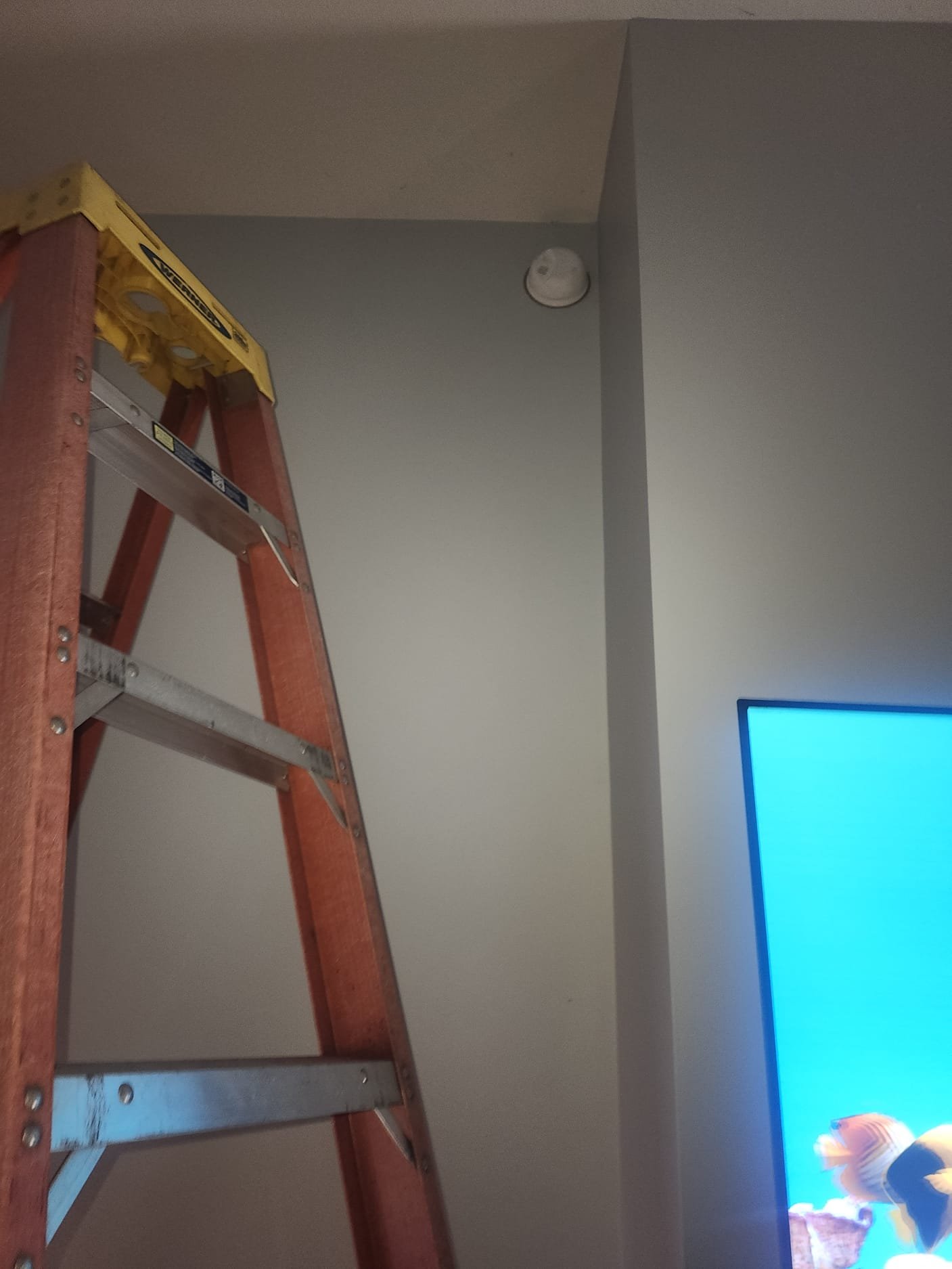 An orange fiberglass ladder is placed under a ceiling-mounted detector, showing proper setup for electrical maintenance.
