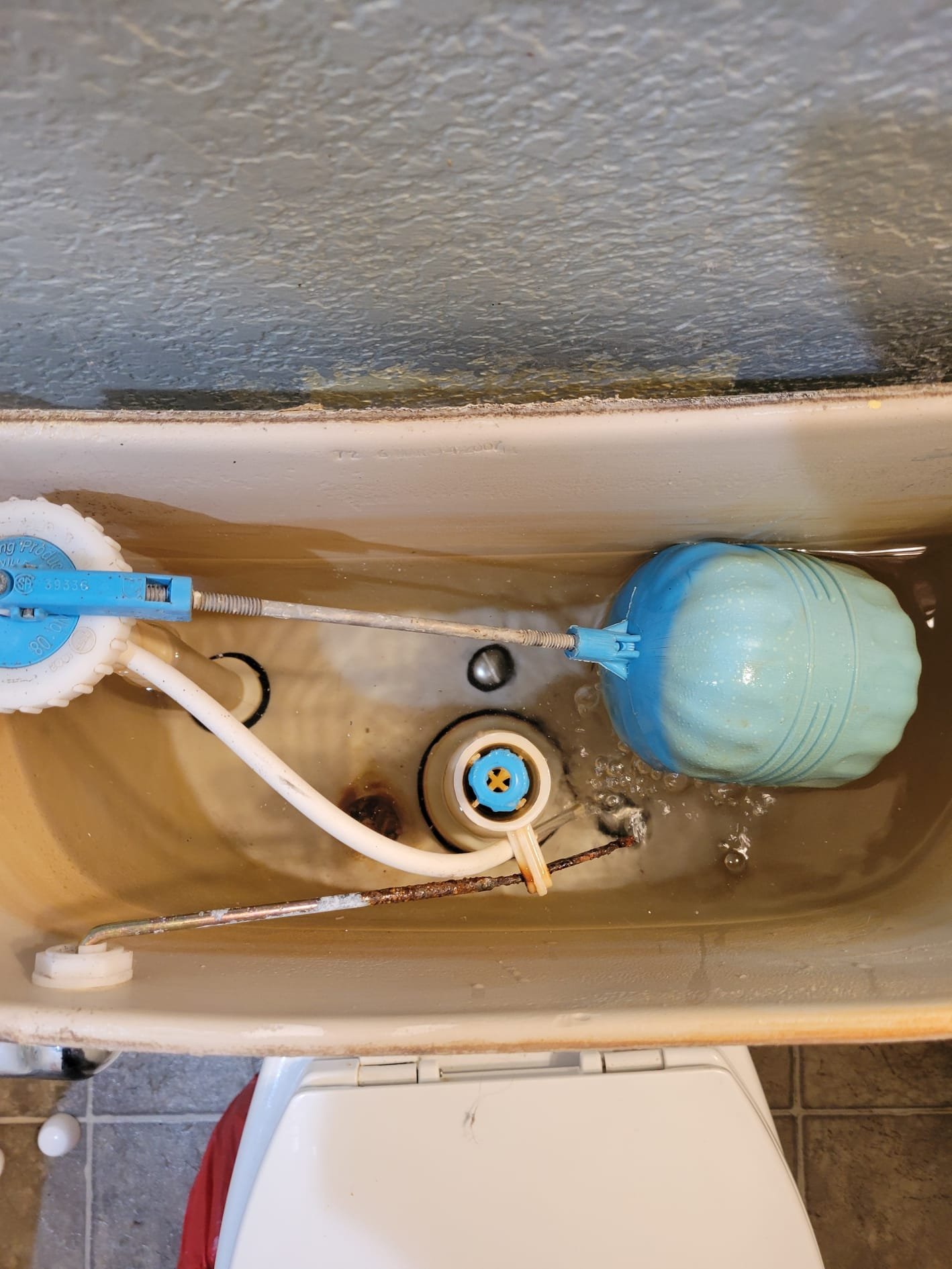 View inside a toilet tank with aging components
