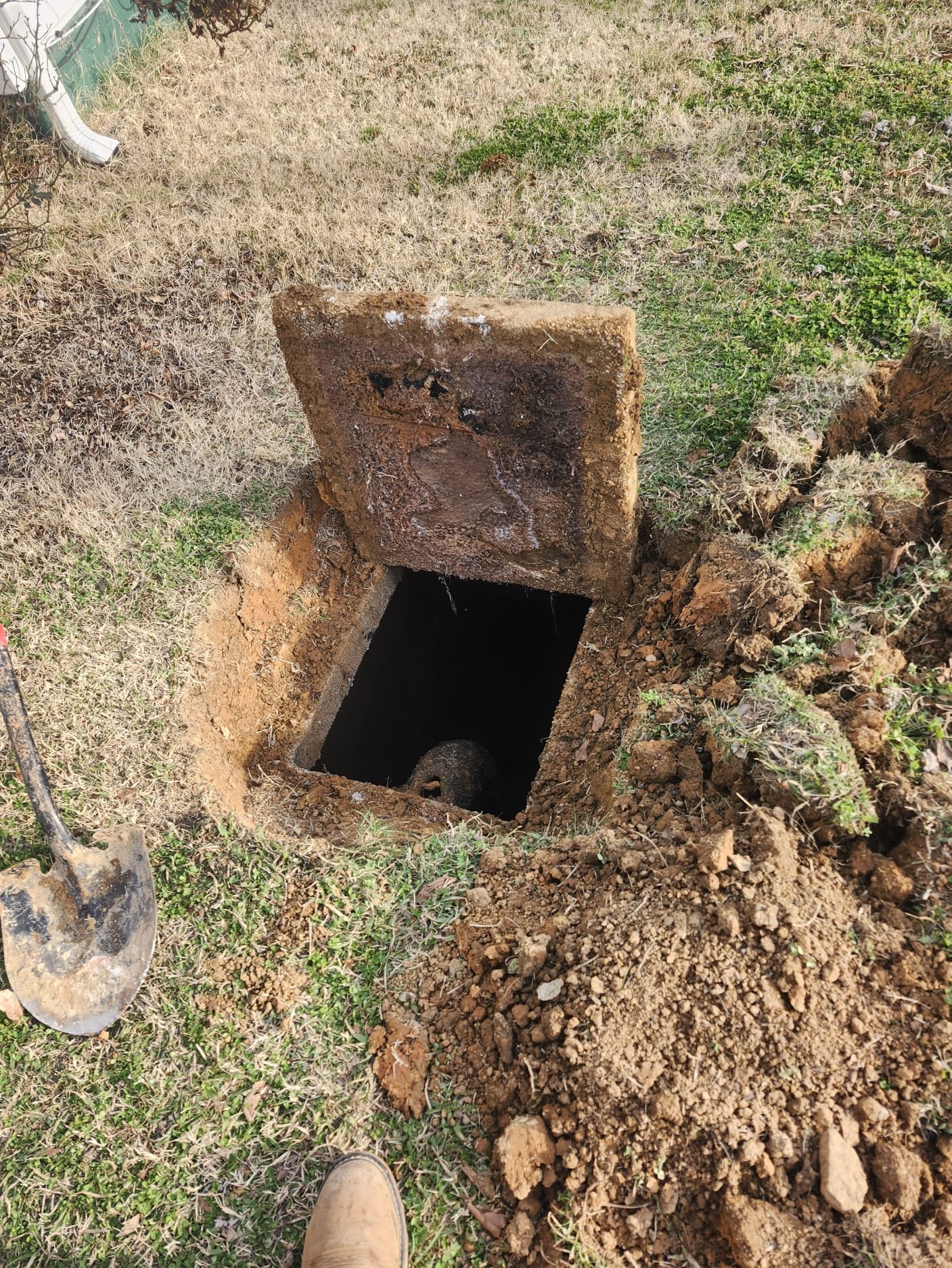 Quick Fix for a Backed-Up Toilet and Septic Pumping in Rockford