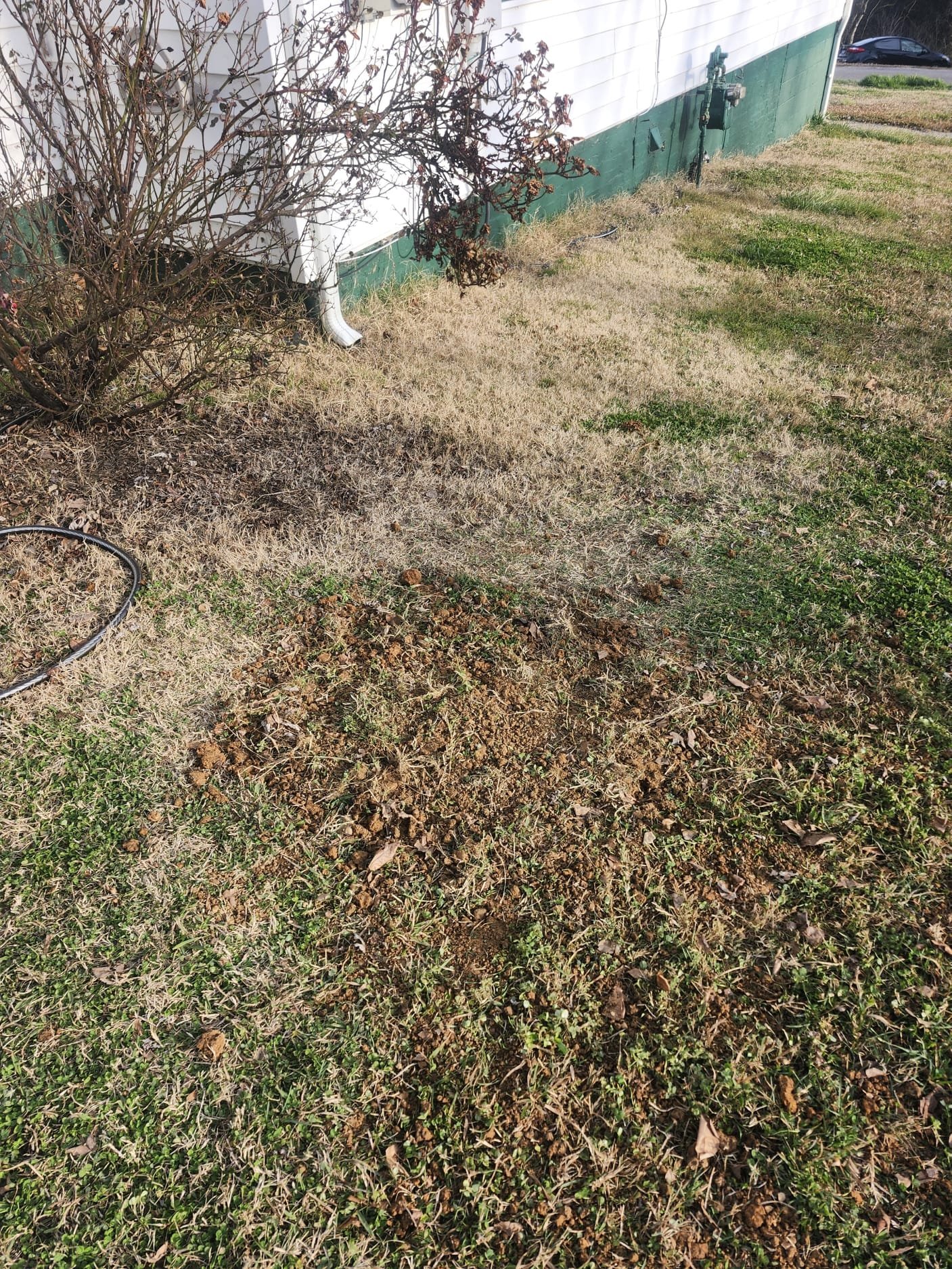 Yard after underground plumbing work