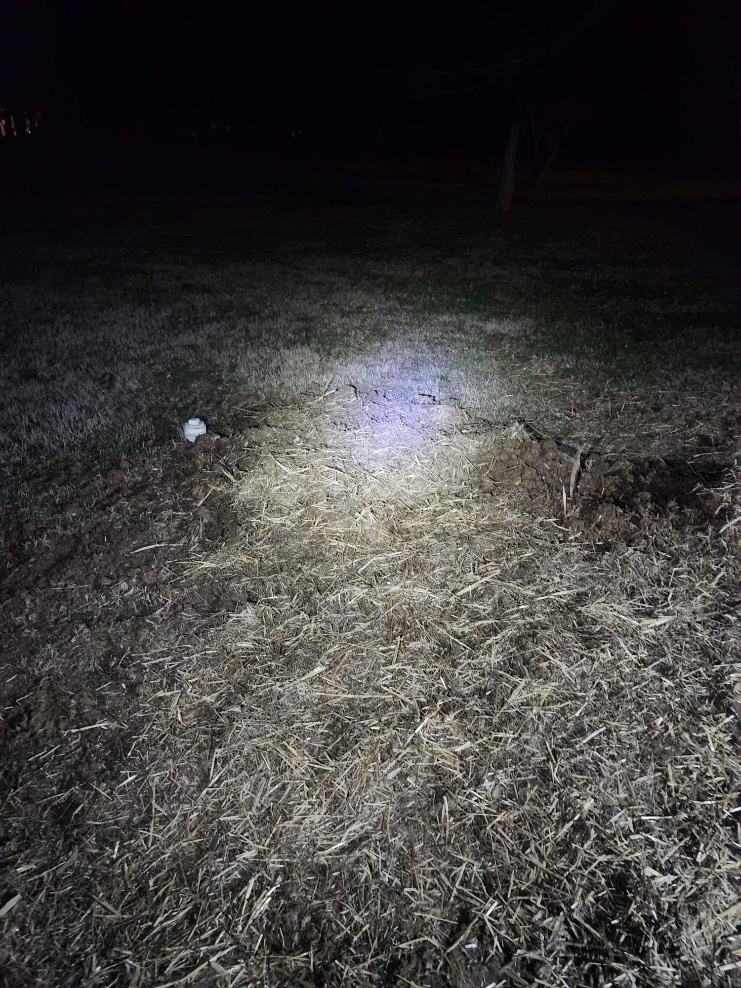 How a Simple Yard Access Point Solved a Stubborn Kingston Clog