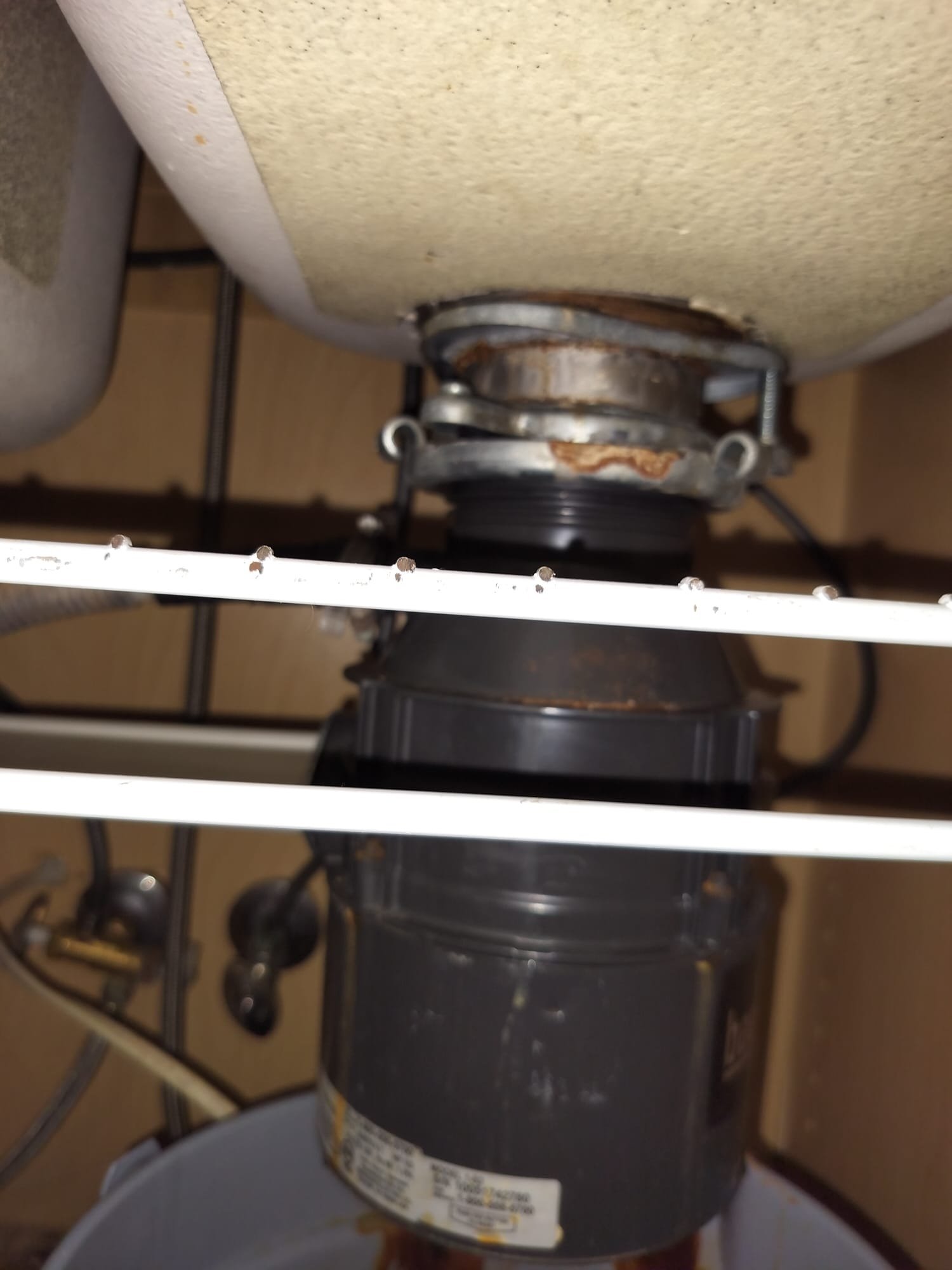 Rusty garbage disposal with signs of a leak