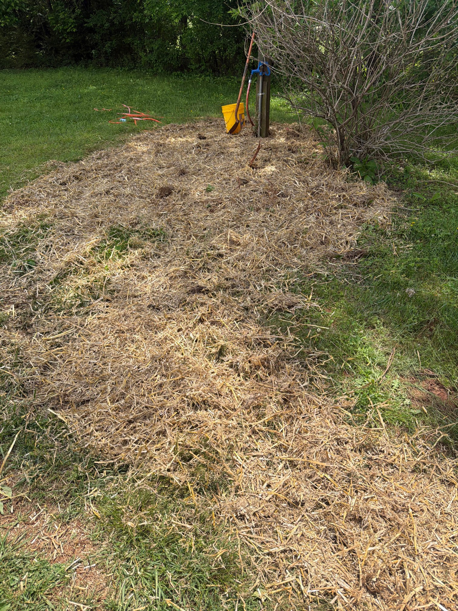Recently completed outdoor water system cleanup with straw covering the trench