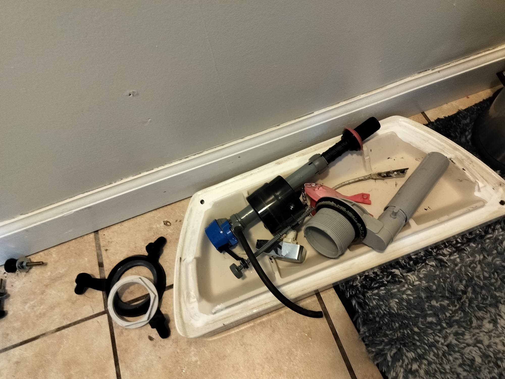 Collection of new plumbing parts ready for installation