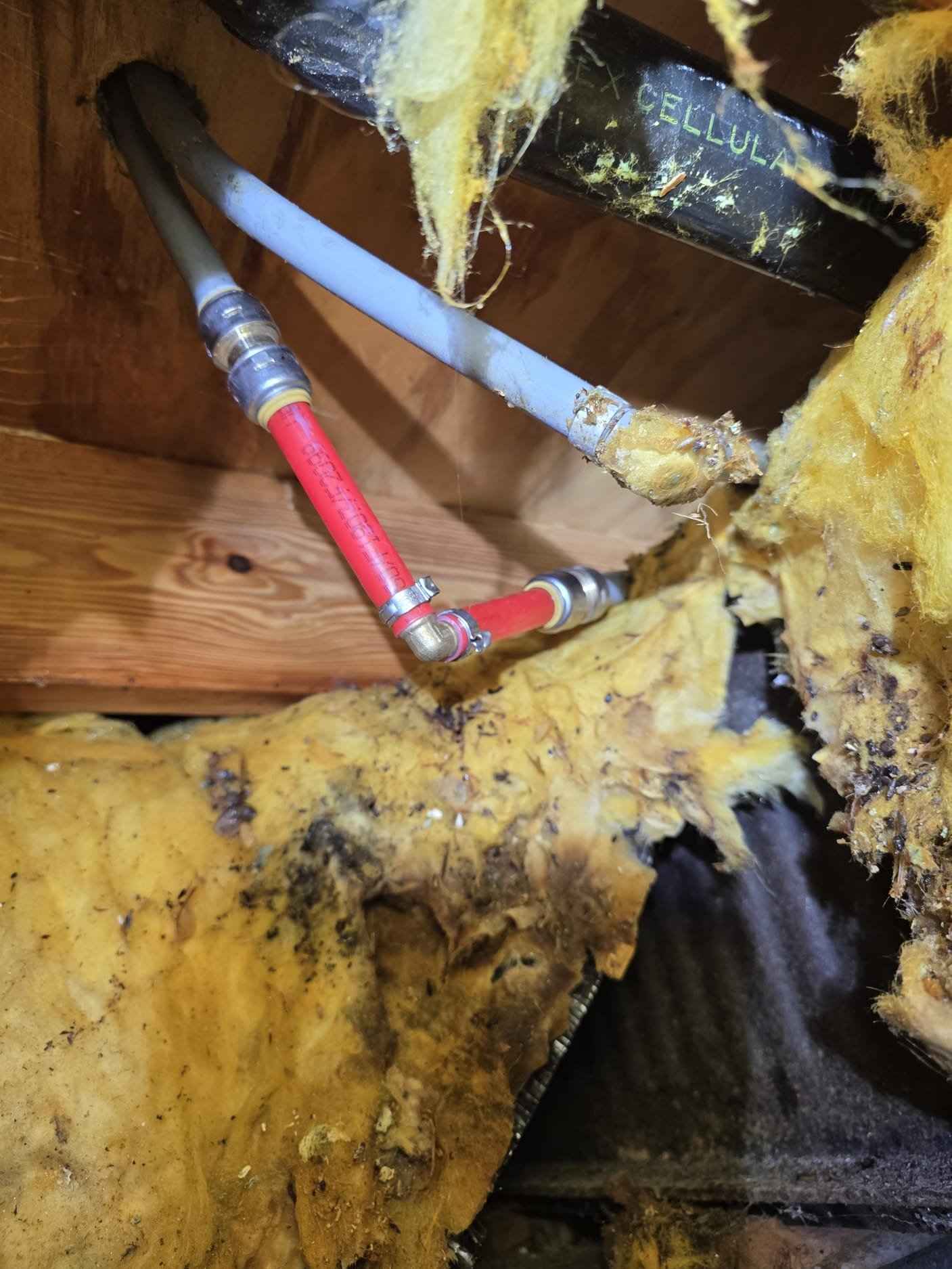 Newly installed PEX pipes with push-to-connect fittings and fresh framing in a crawl space