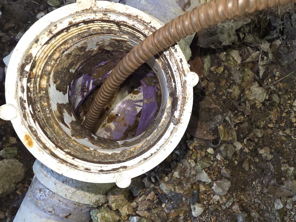 Auger inserted into plumbing cleanout during maintenance
