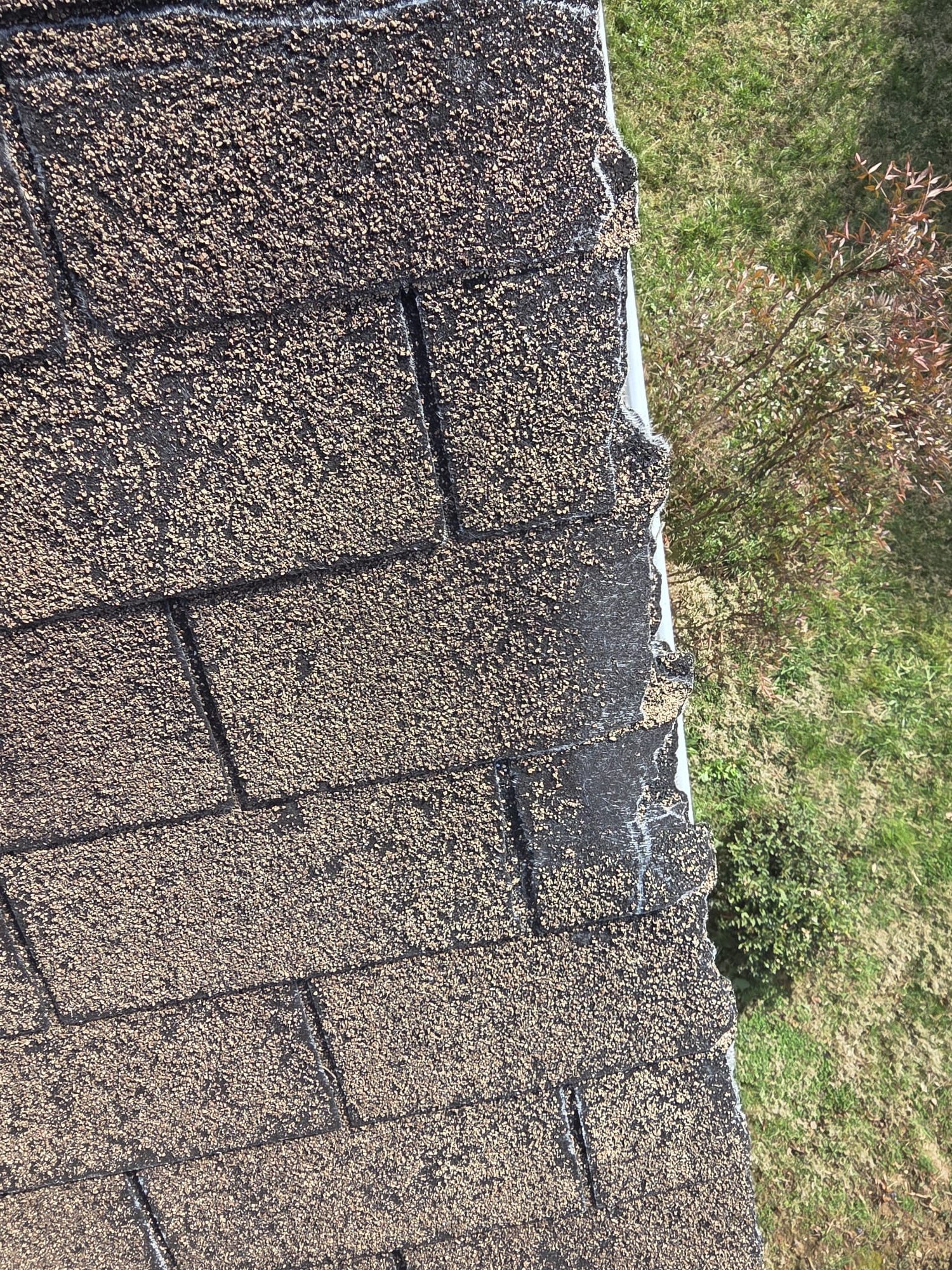 What a Slow Drain and a Storm-Damaged Roof Can Teach Homeowners in Morristown