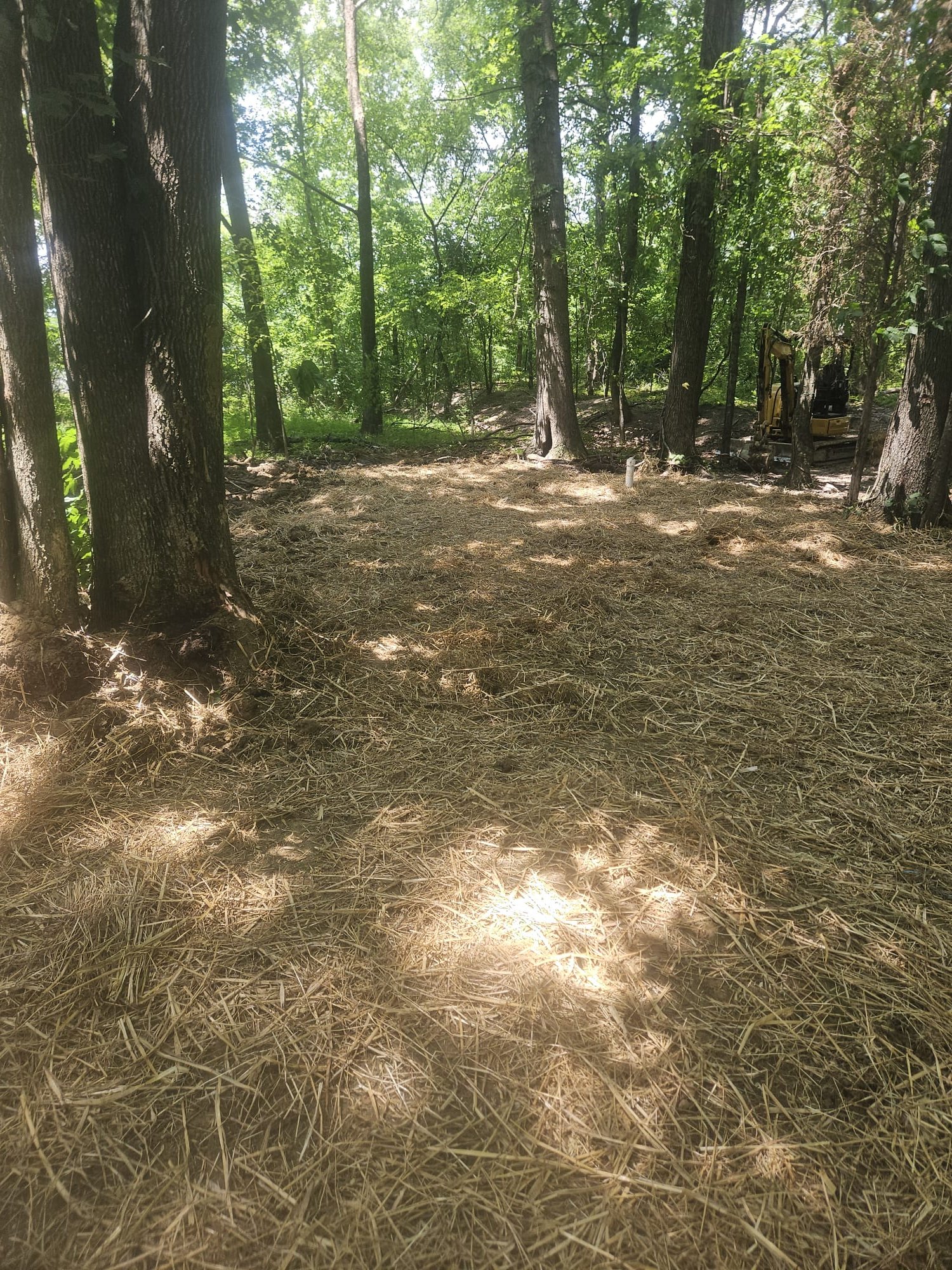 Restored work area with straw covering the ground after underground plumbing service