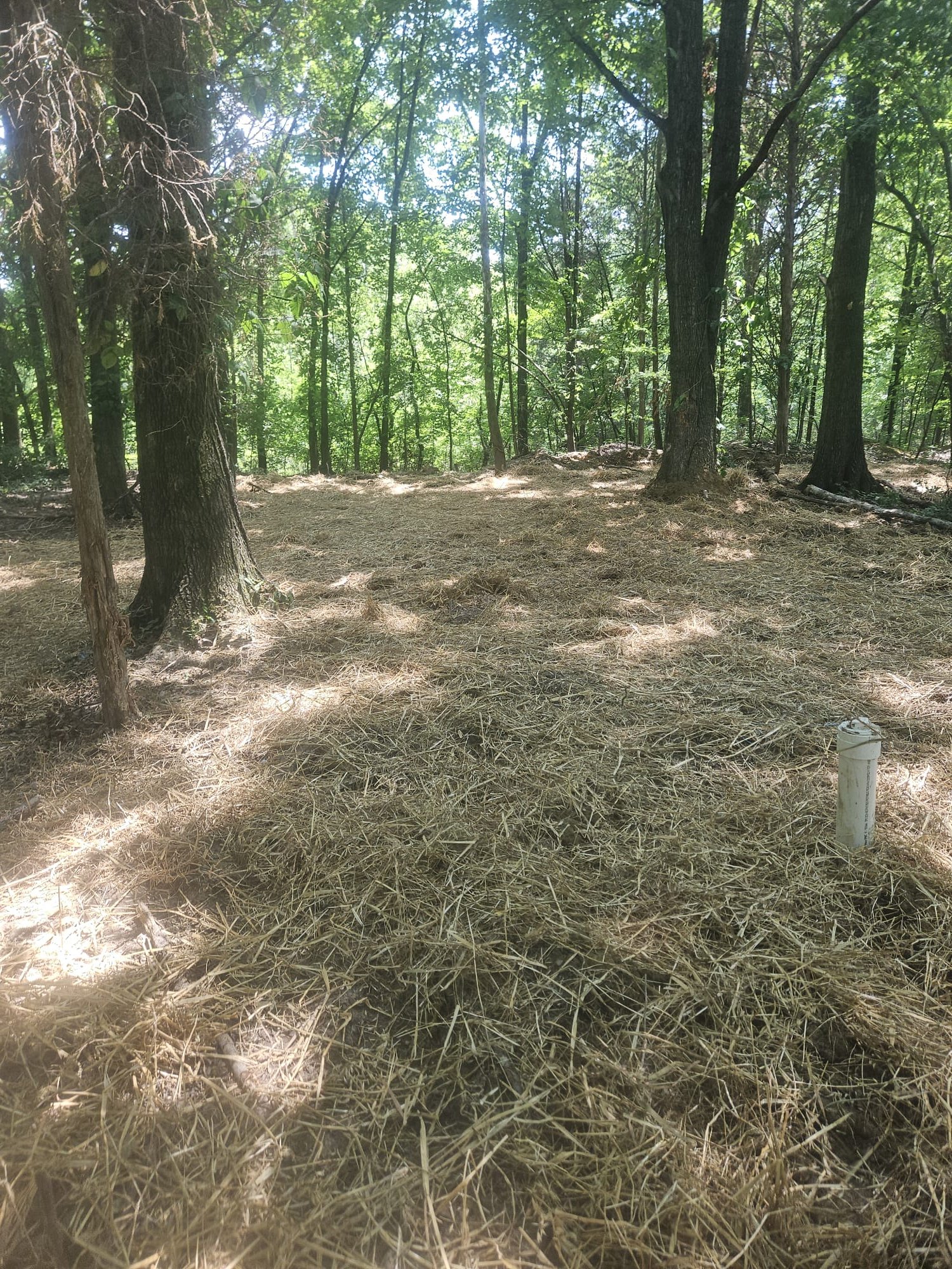 Finished outdoor plumbing access point after installation and restoration
