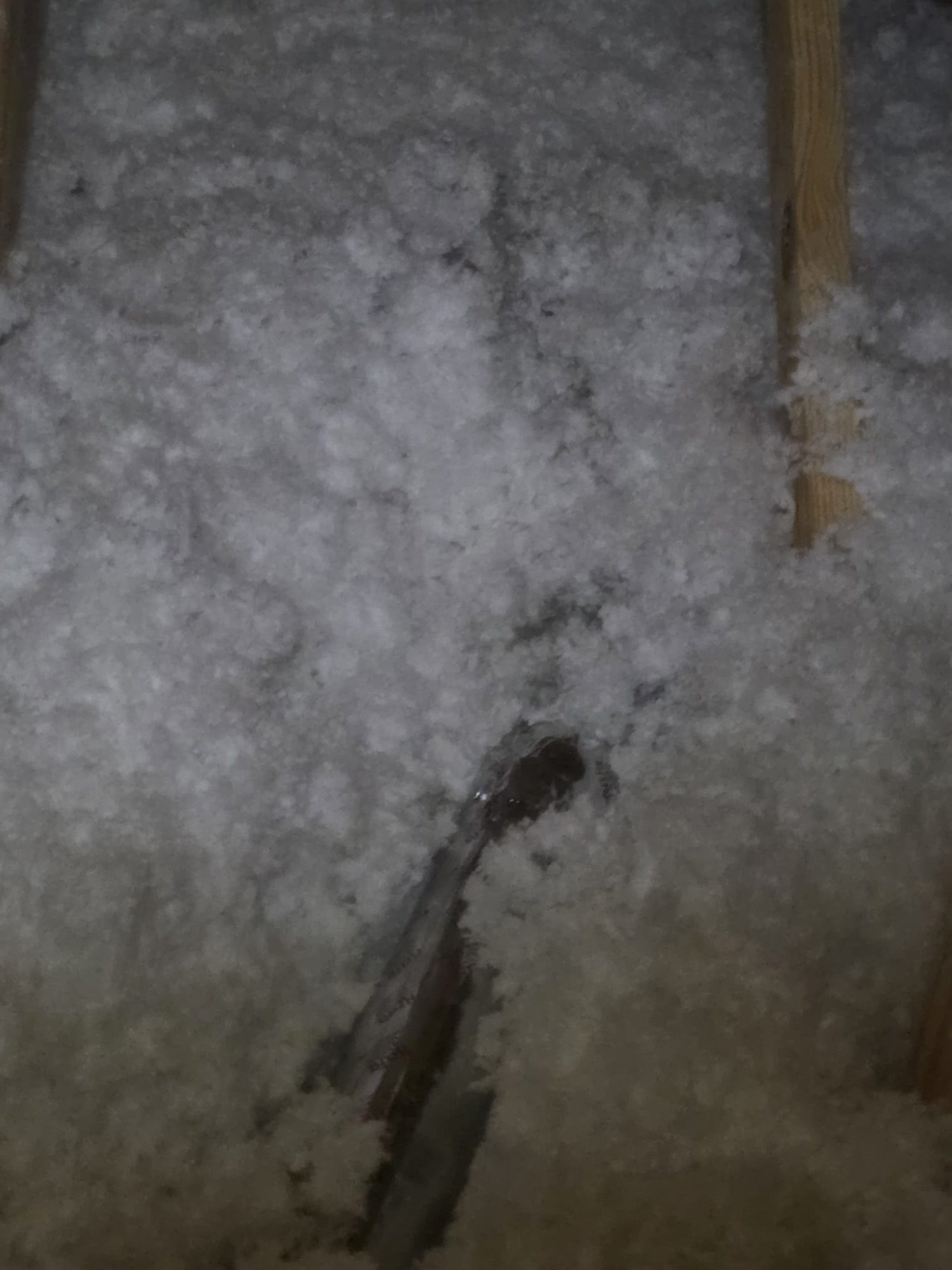 How a Hidden Roof Leak Into a Ceiling Light Was Solved in Dandridge