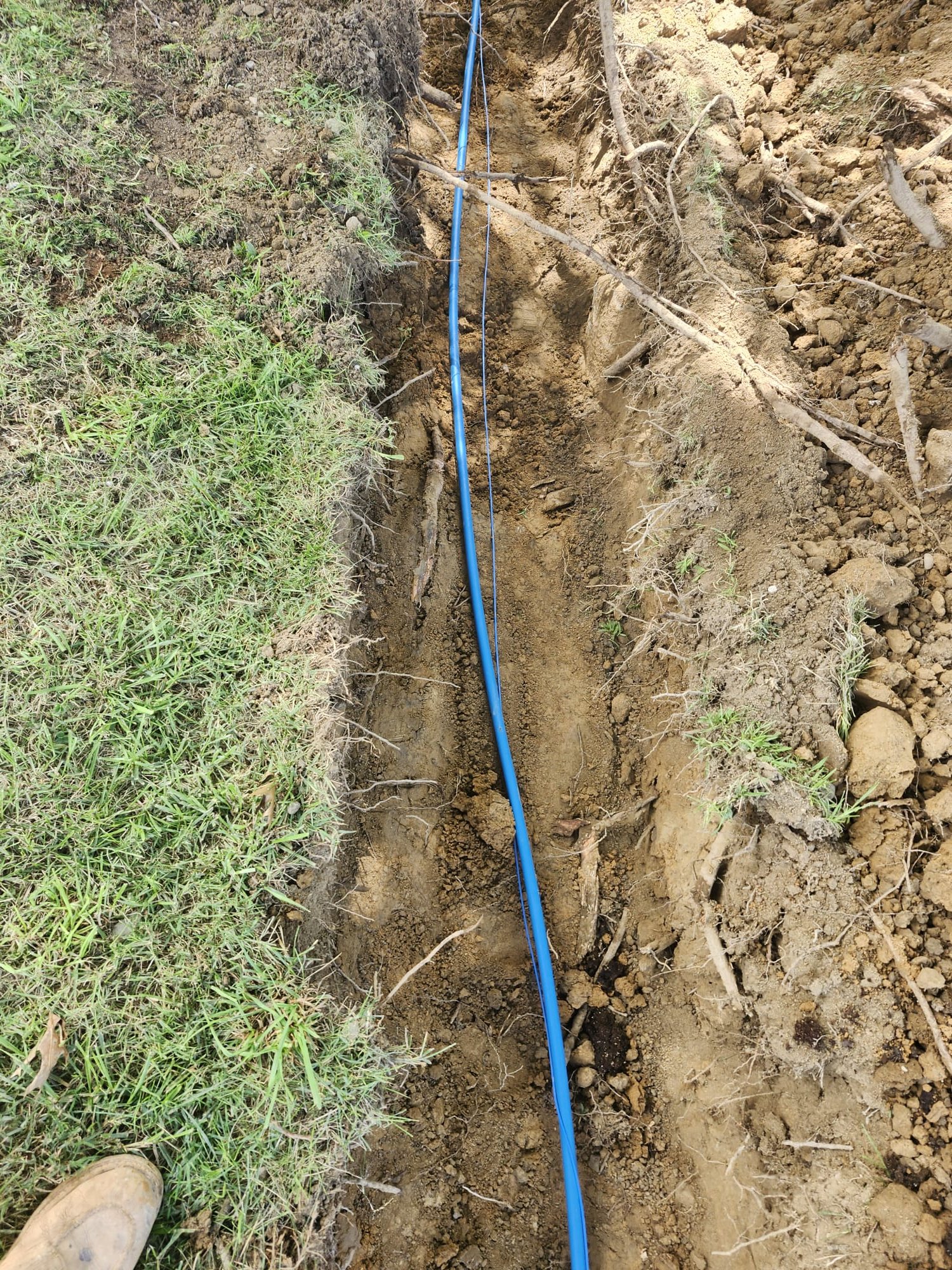 When Tree Roots Damage an Underground Water Line in Cosby