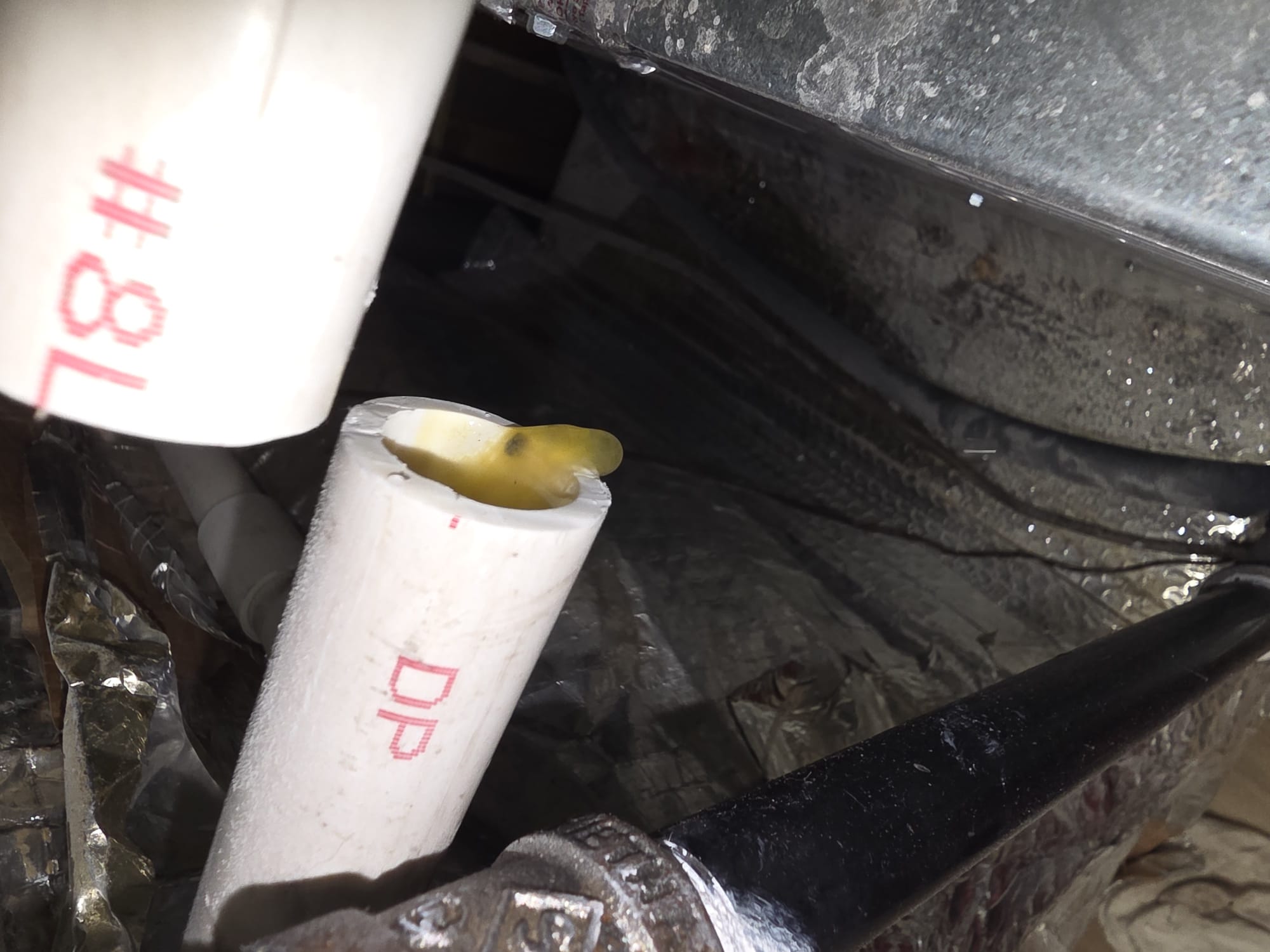 Condensate drain area with visible moisture problem