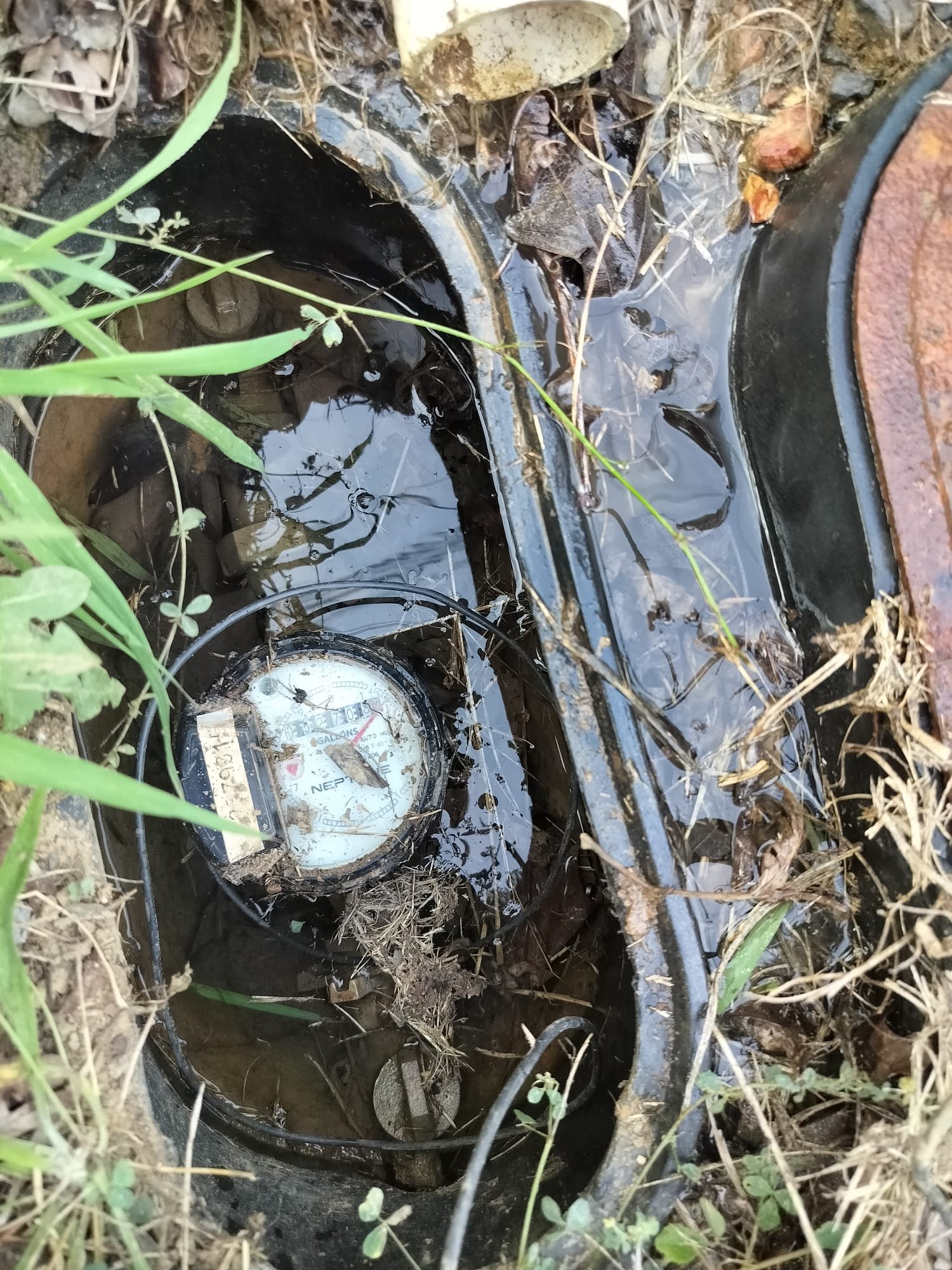 What Homeowners in Apison Should Know About a Sudden Water Line Break