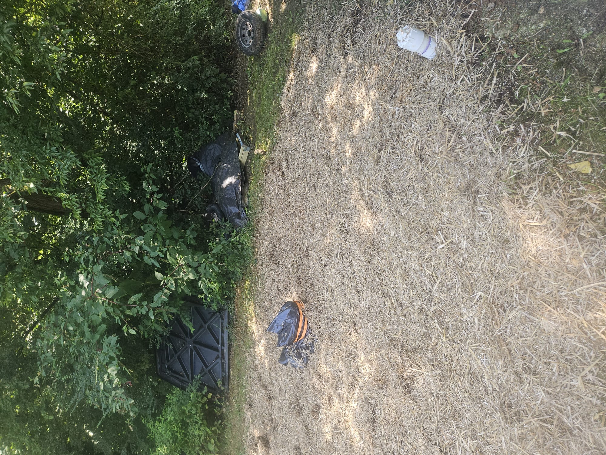 Restored yard after the plumbing work