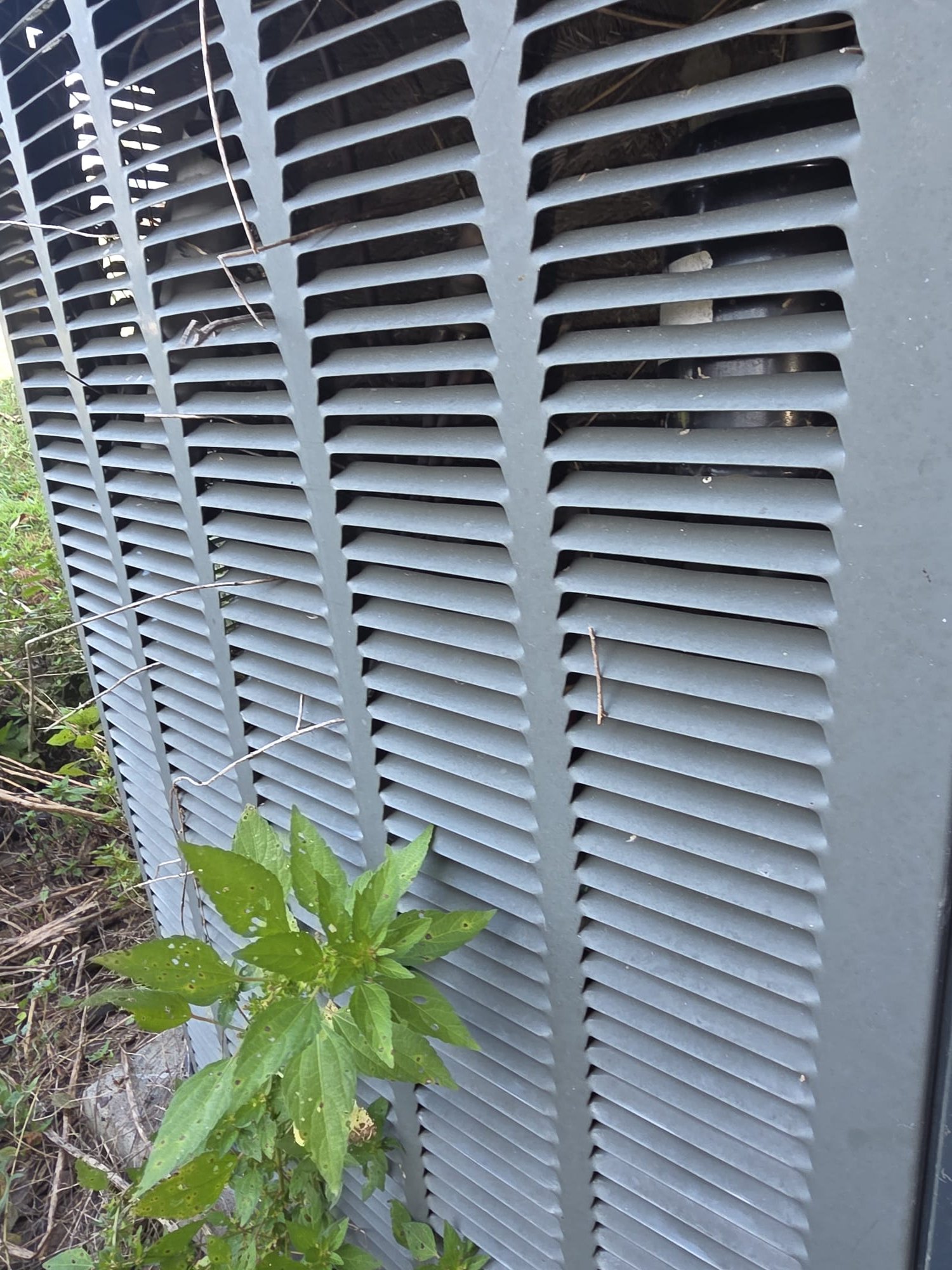 Outdoor AC unit with plants growing too close